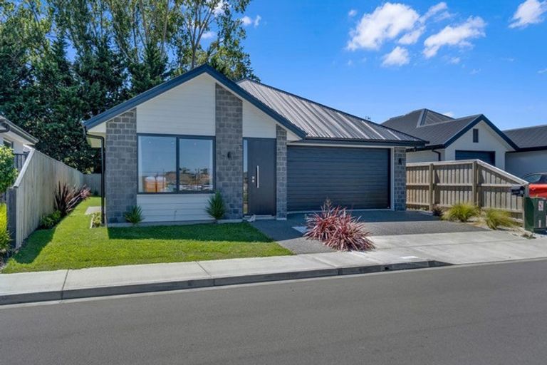 Photo of property in 73 Henshaw Street, Woodend, 7610