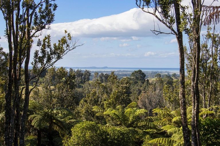 Photo of property in 597 Work Road, Whakamarama, Katikati, 3181