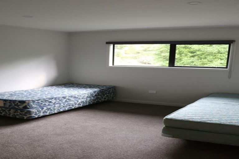 Photo of property in 356 Hailes Road, Whananaki, Hikurangi, 0181