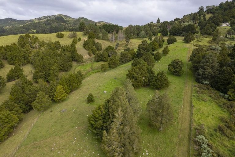 Photo of property in 20 Mangamanihi Road, Kaeo, 0479
