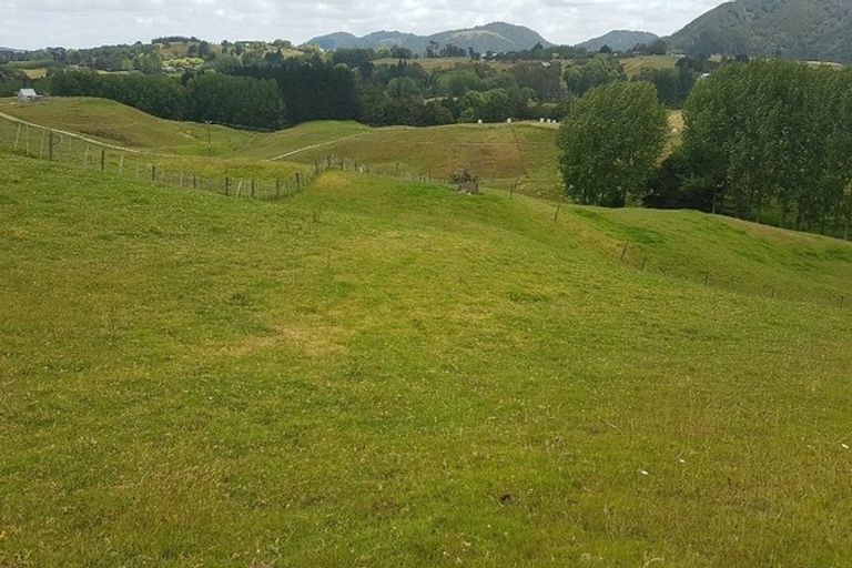 Photo of property in 117 Kaiwaka-mangawhai Road, Kaiwaka, Wellsford, 0975