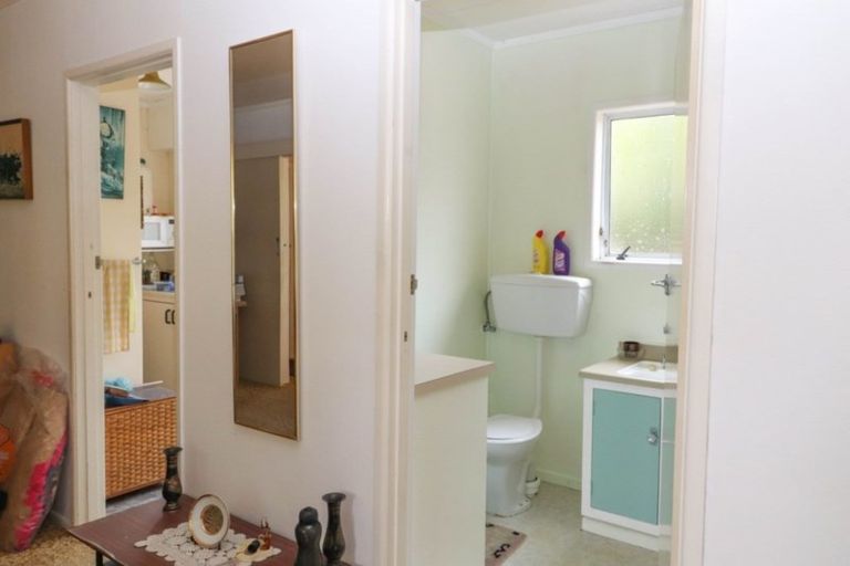 Photo of property in 113 Brunton Crescent, Thames, 3500