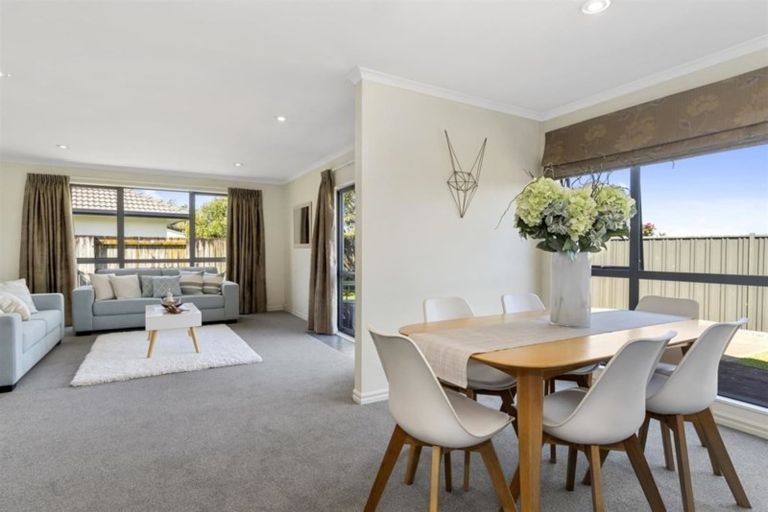 Photo of property in 41 Francevic Avenue, Mount Maunganui, 3116