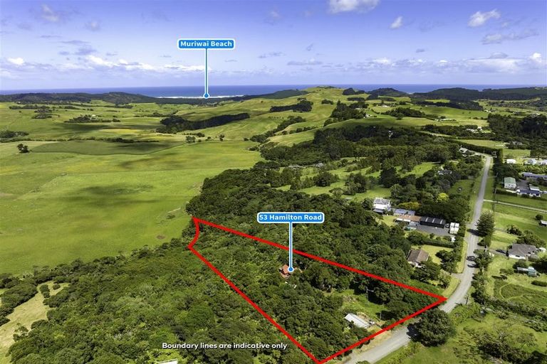 Photo of property in 53 Hamilton Road, Waimauku, 0881