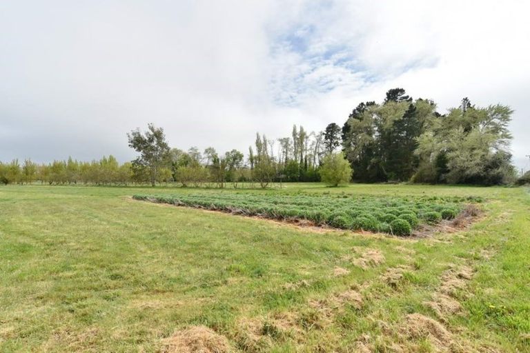 Photo of property in 407 Pesters Road, Eyrewell, Rangiora, 7476