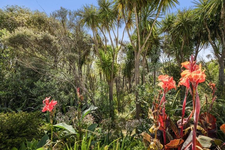 Photo of property in 16 Jack Boyd Drive, Mangawhai Heads, Mangawhai, 0573