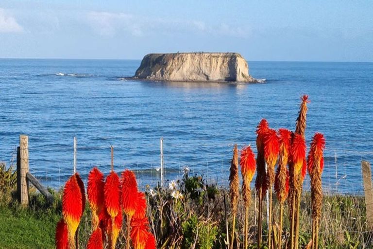 Photo of property in 16 Hall Street, Motunau, Waipara, 7387