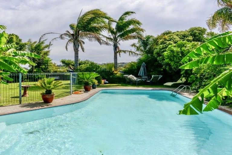 Photo of property in 31 Tom Parker Avenue, Marewa, Napier, 4110