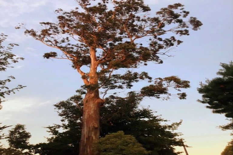 Photo of property in 897 Sandy Knolls Road, West Melton, Christchurch, 7675