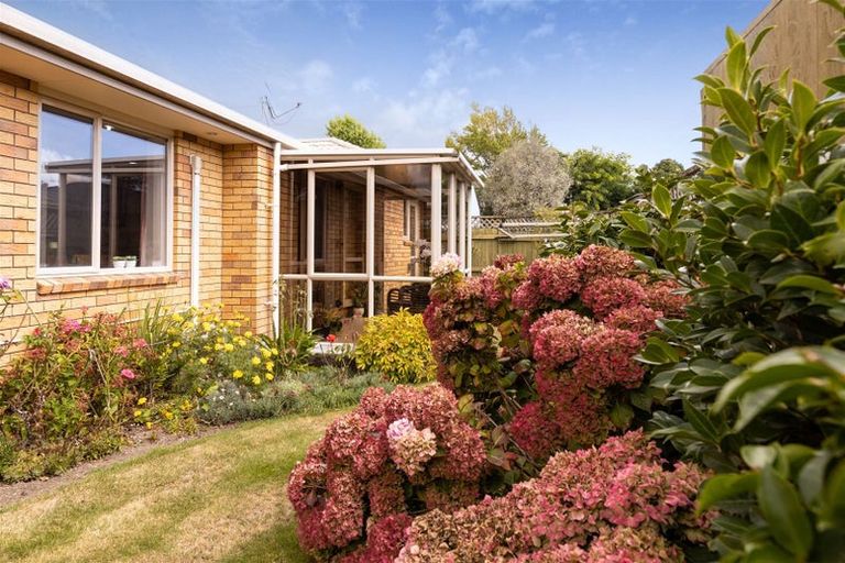 Photo of property in 33b Litchfield Street, Redwoodtown, Blenheim, 7201