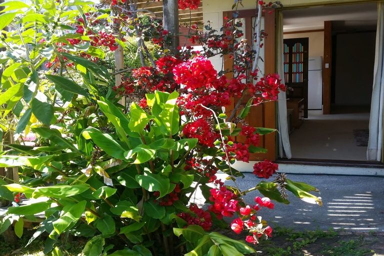 Photo of property in 1/295 East Coast Road, Mairangi Bay, Auckland, 0630