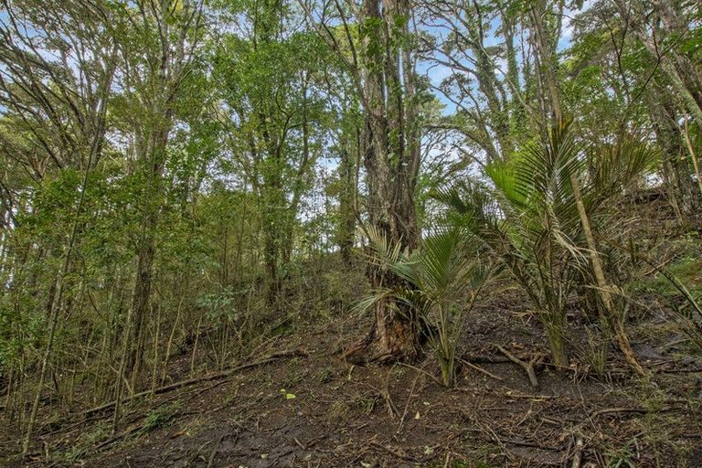 Photo of property in 54 Paparoa Station Road, Paparoa, 0571