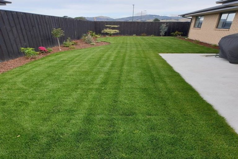 Photo of property in 49 Kilmurry Street, Halswell, Christchurch, 8025