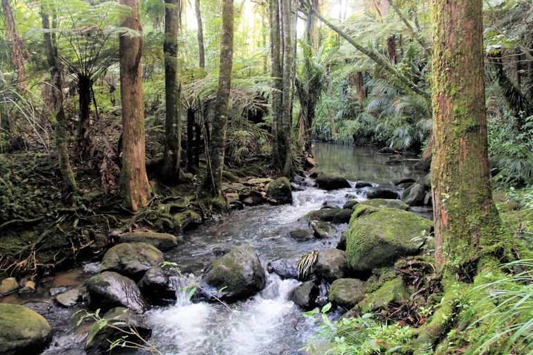 Photo of property in 409 Puketotara Road, Waipapa, Kerikeri, 0295