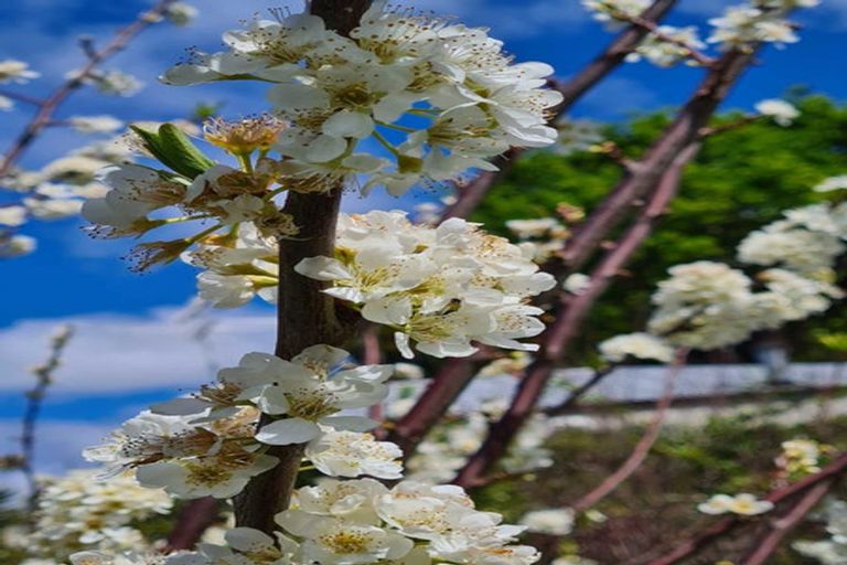 Photo of property in 18 Glengarry Avenue, Manly, Whangaparaoa, 0930