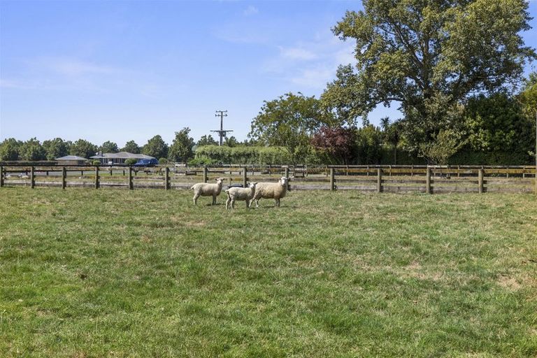 Photo of property in 326a Bellevue Road, Matangi, Cambridge, 3493