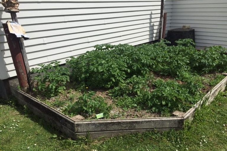 Photo of property in 21 Walker Terrace, Dinsdale, Hamilton, 3204