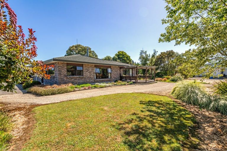 Photo of property in 168 Parewanui Road, Bulls, 4894