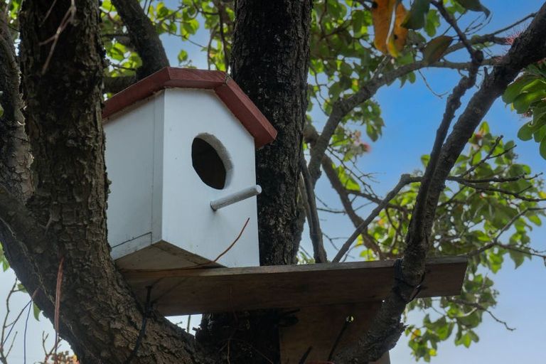 Photo of property in 69a Ellesmere Avenue, Miramar, Wellington, 6022