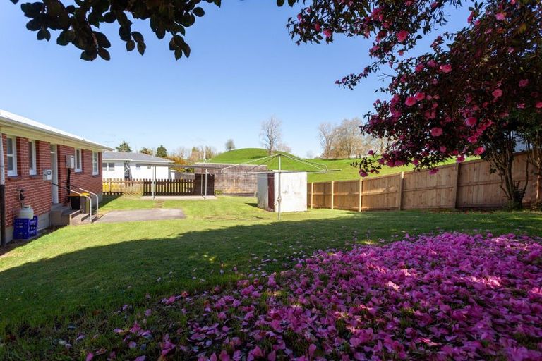 Photo of property in 106 Reservoir Street, Putaruru, 3411