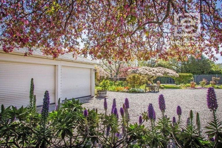 Photo of property in 40 Pownall Street, Masterton, 5810