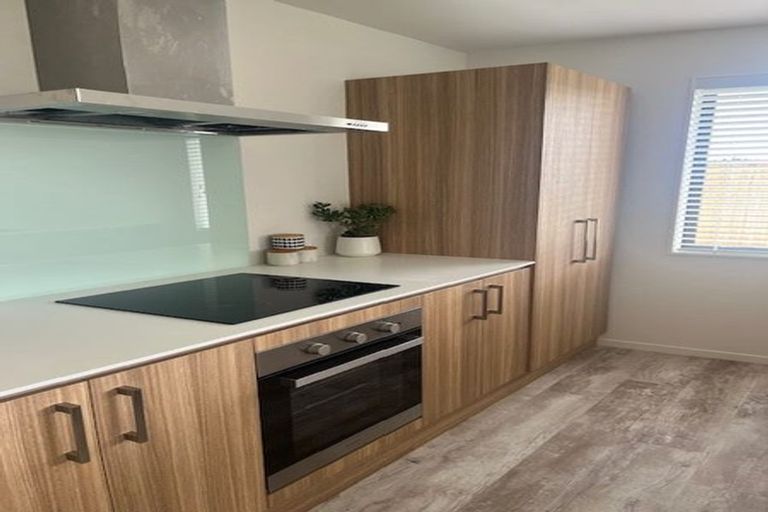 Photo of property in 17 Sandhill Drive, Rolleston, 7615