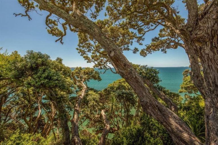 Photo of property in 50 Cliff Road, Torbay, Auckland, 0630