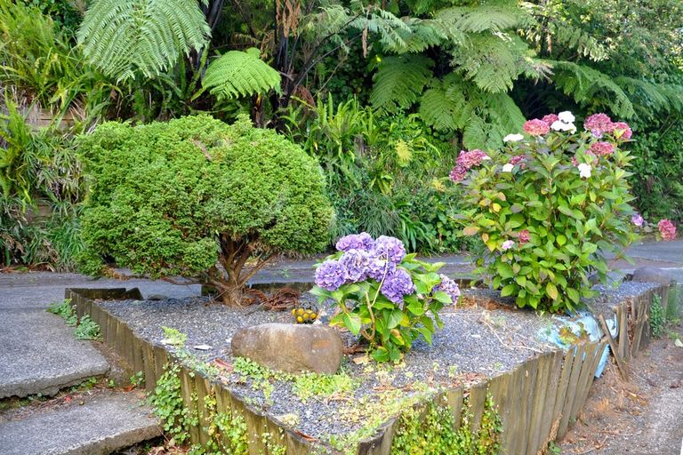 Photo of property in 8a Jenkinson Street, Waihi Beach, 3611