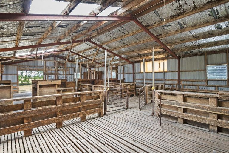 Photo of property in 373 Colyton Road, Colyton, Feilding, 4775