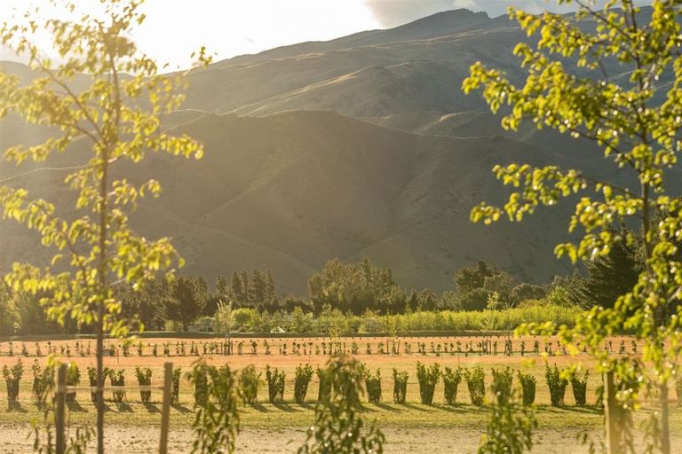 Photo of property in 77 Stone Drive, Cromwell, 9384