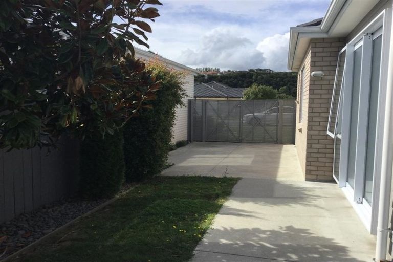 Photo of property in 26 Landing Drive, Pyes Pa, Tauranga, 3112