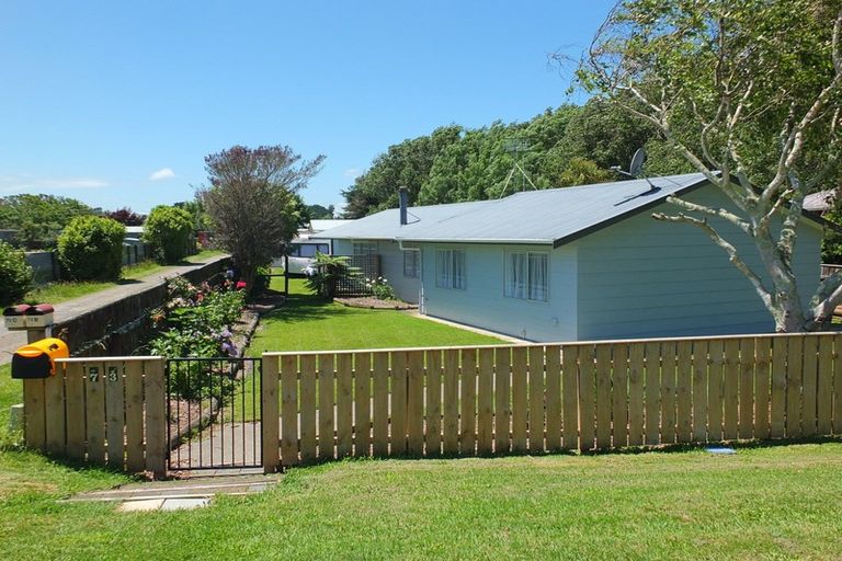 Photo of property in 73 Avenue Road, Foxton, 4814
