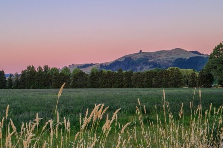 Photo of property in 114 Hubbard Road, Paeroa, 3674