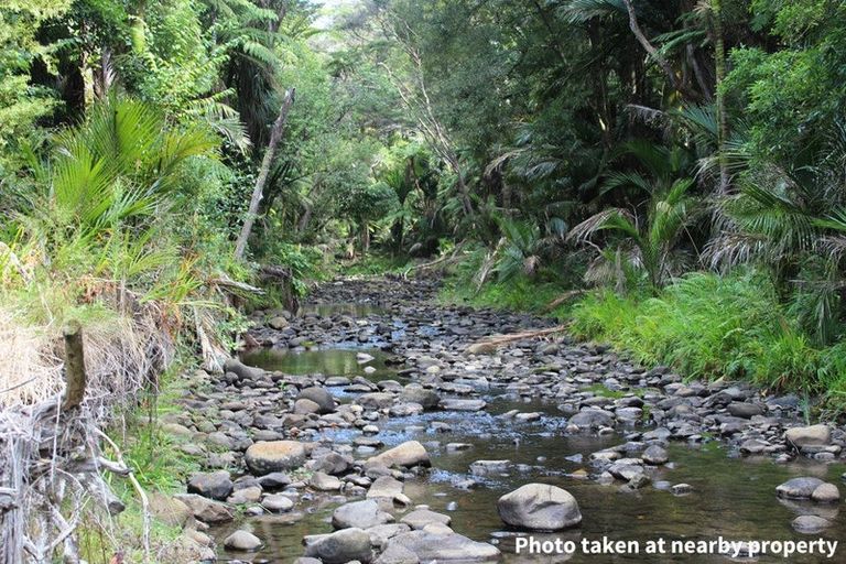 Photo of property in 411a Henderson Valley Road, Henderson Valley, Auckland, 0612