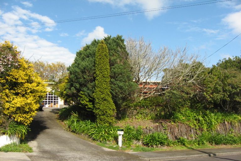Photo of property in 8 Horne Street, Hurdon, New Plymouth, 4310