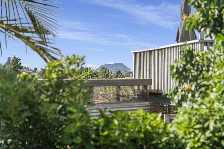 Photo of property in 3b David Street, Judea, Tauranga, 3110