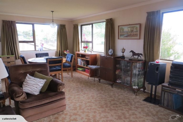 Photo of property in 21a Bowen Street, Cambridge, 3434