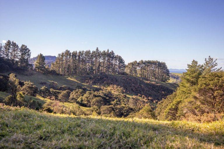 Photo of property in 225d Woodland Road, Tahawai, Katikati, 3170