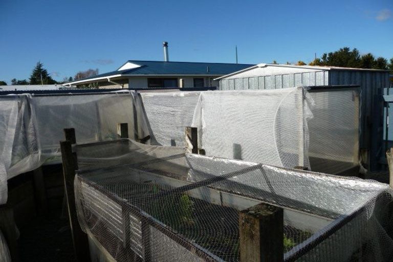 Photo of property in 31 Kennedy Drive, Putaruru, 3411