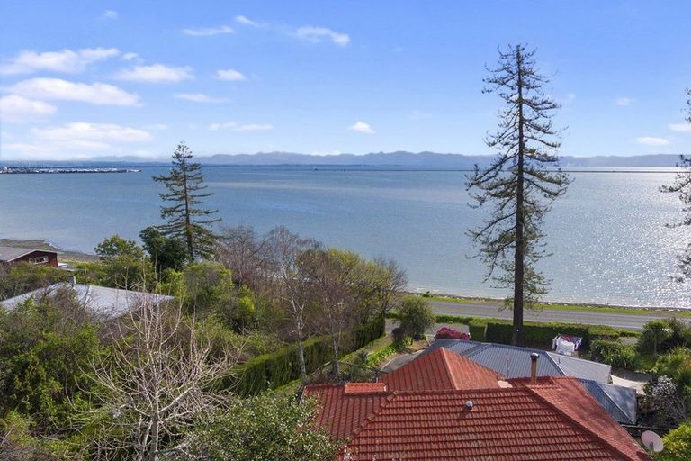 Photo of property in 41 Bay View Road, Atawhai, Nelson, 7010