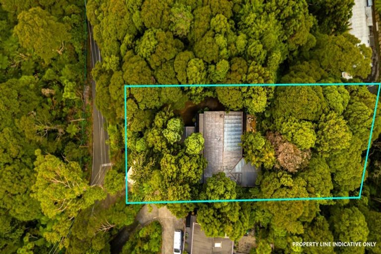 Photo of property in 84 Mountain Road, Henderson Valley, Auckland, 0612