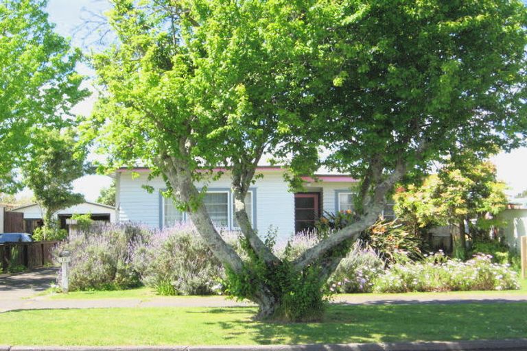 Photo of property in 12 Grafton Road, Te Hapara, Gisborne, 4010