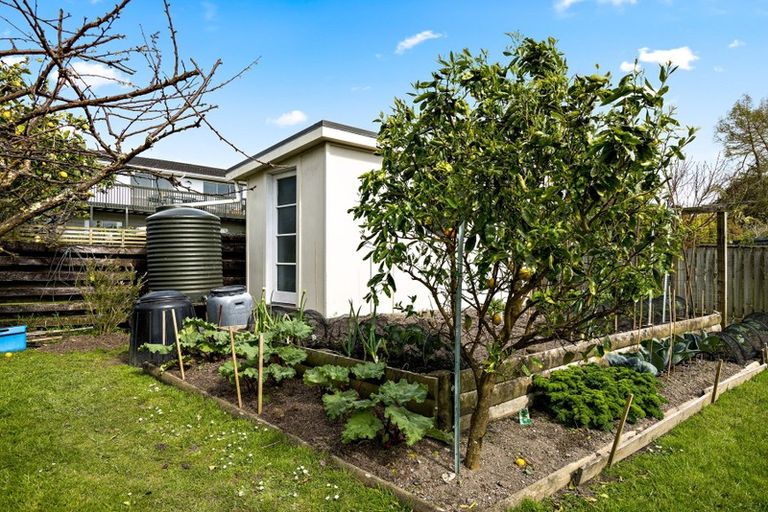 Photo of property in 15 Kawau View Road, Snells Beach, 0920