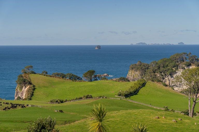 Photo of property in 97 Orchard Road, Hahei, Whitianga, 3591