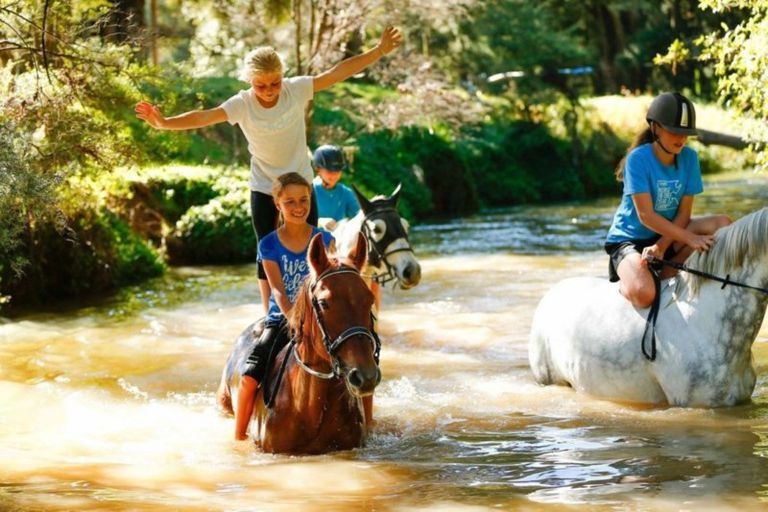 Photo of property in 202-206 Tapuhi Road, Hukerenui, Hikurangi, 0182