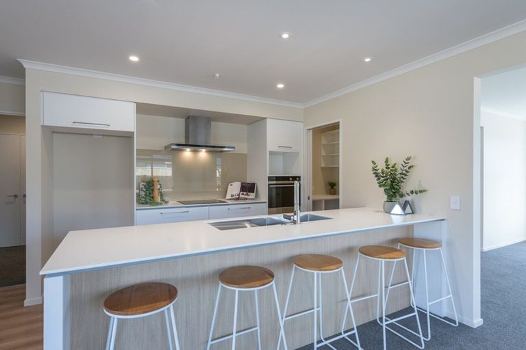 Photo of property in 65 Berryfield Drive, Richmond, 7020