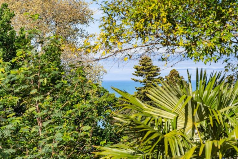 Photo of property in 6 Thompson Road, Bluff Hill, Napier, 4110