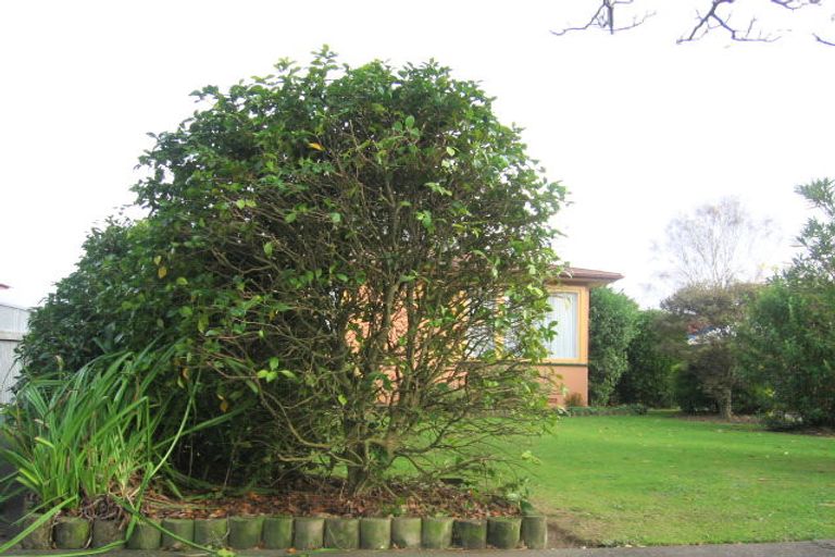 Photo of property in 5 Jackson Avenue, Highbury, Palmerston North, 4412