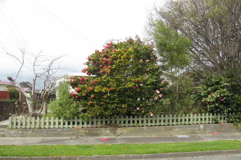 Photo of property in 4 John Street, Levin, 5510