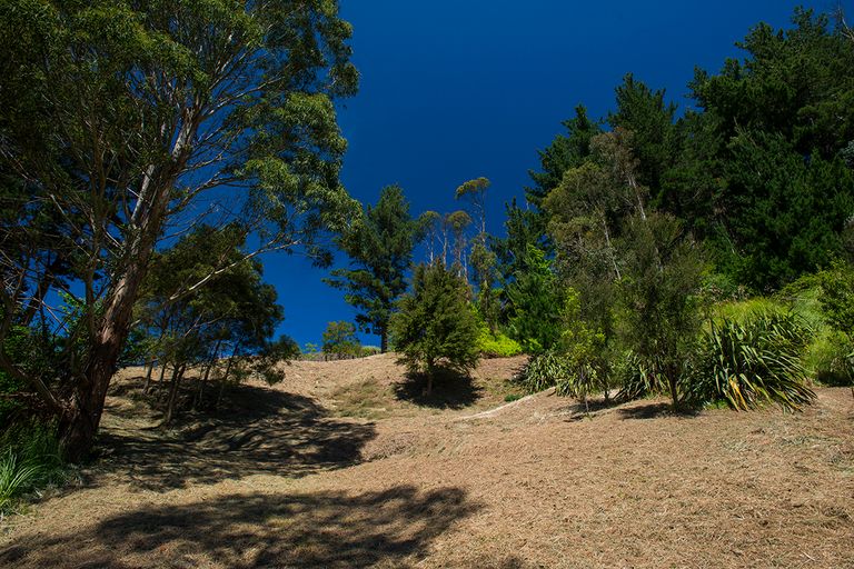 Photo of property in 57 Shelley Road, Whataupoko, Gisborne, 4010